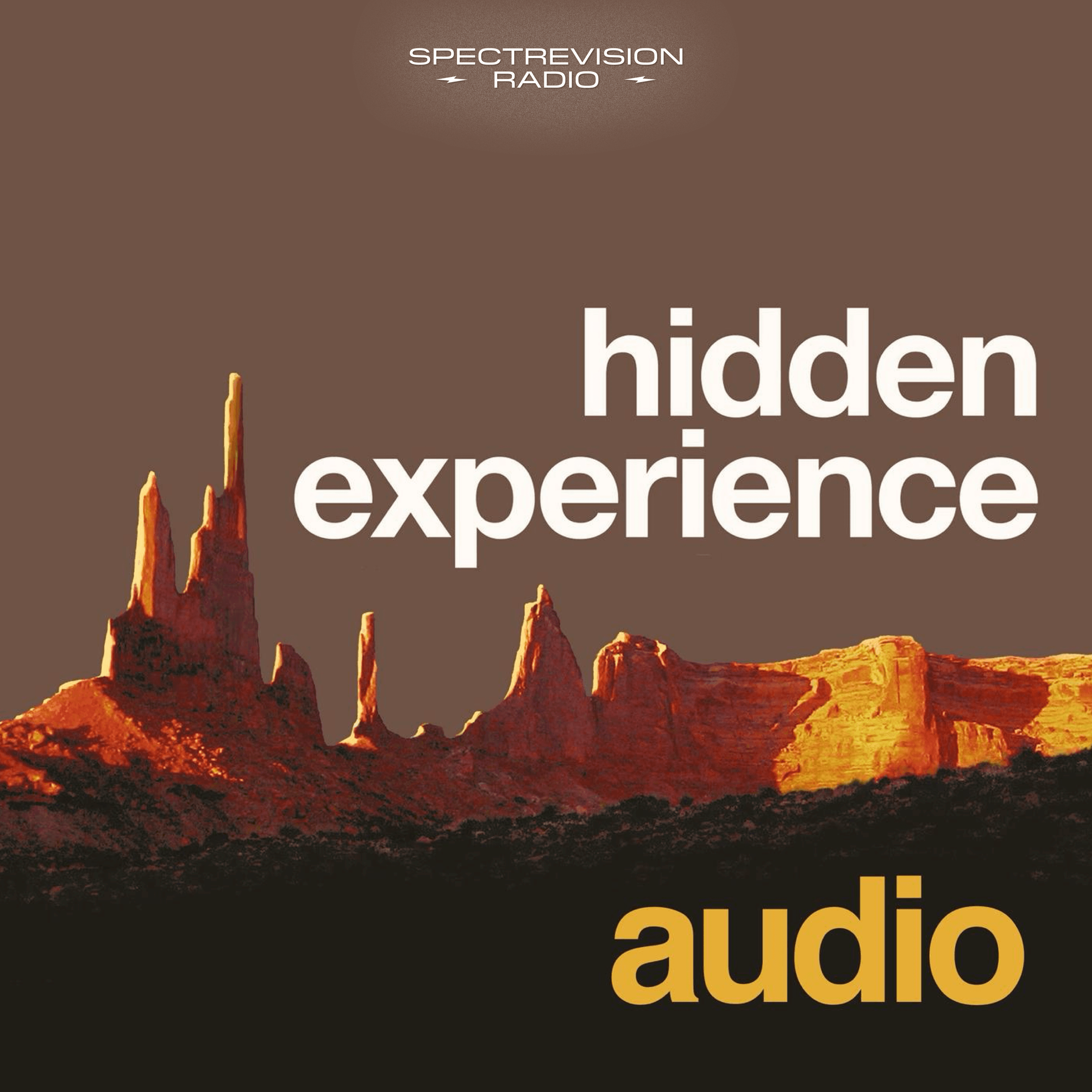 Poster Image for Hidden Experience