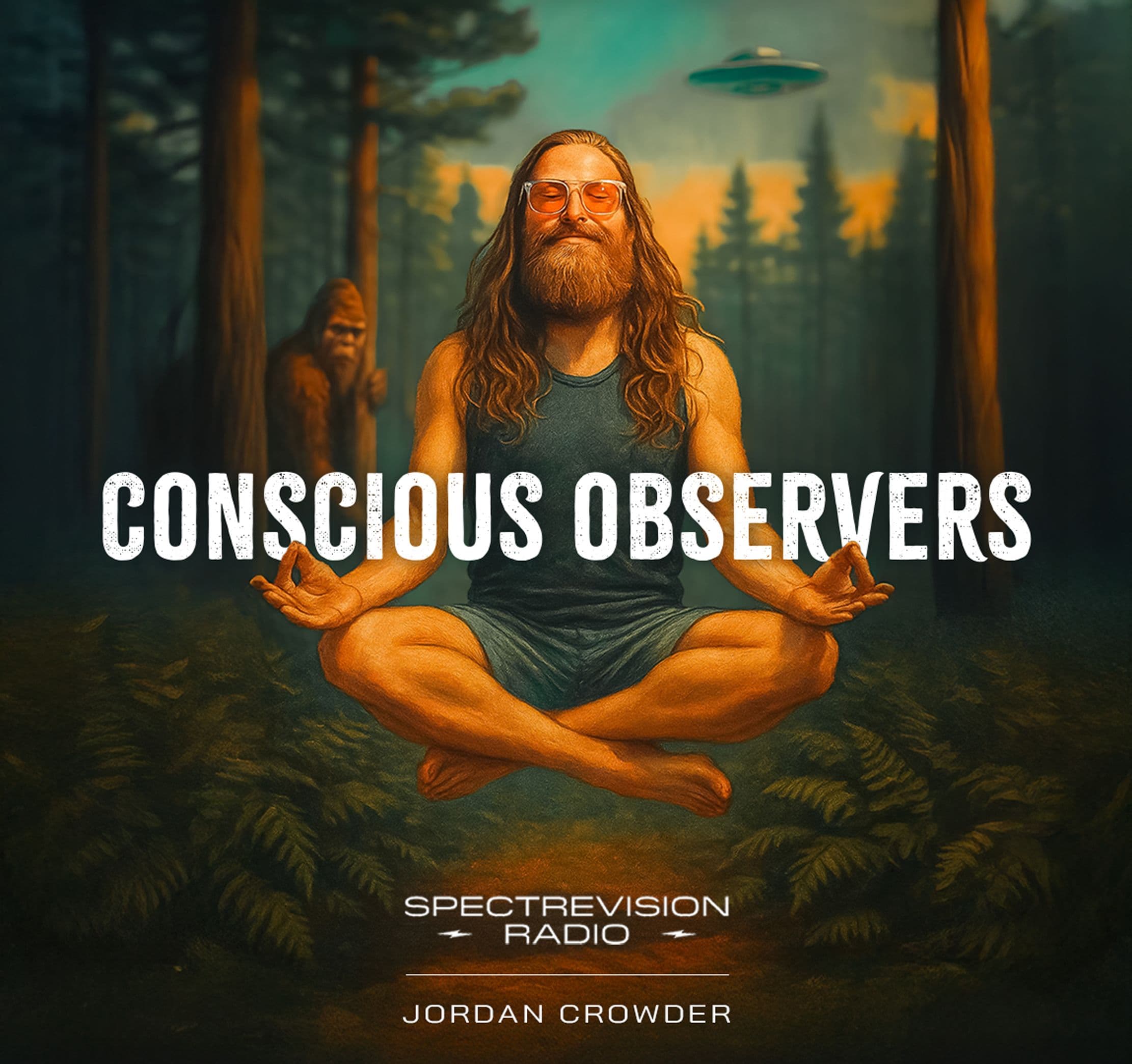 Poster Image for Conscious Observers
